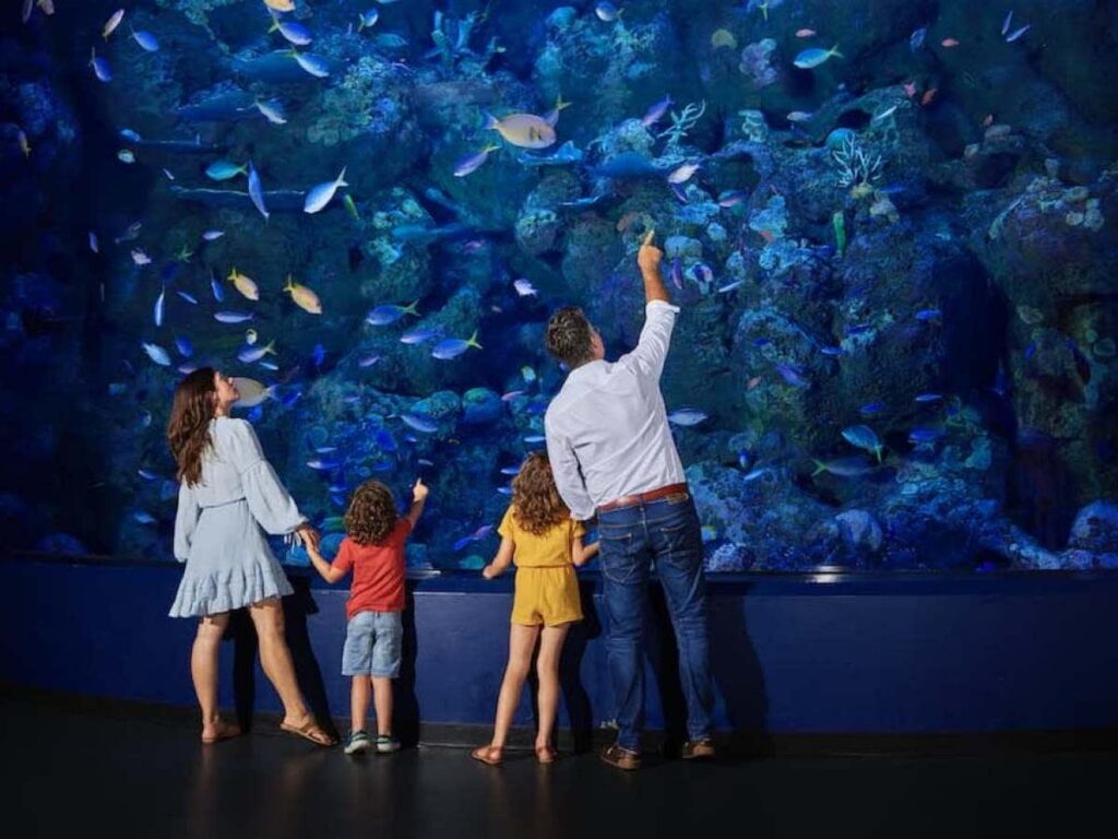 A family of four stands in front of a large aquarium tank, looking at various fish and sea life swimming inside.