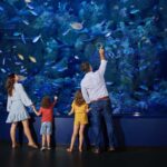 A family of four stands in front of a large aquarium tank, looking at various fish and sea life swimming inside.