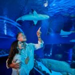 A couple stands in an aquarium tunnel, looking up and pointing at a shark swimming above them in a large blue tank.