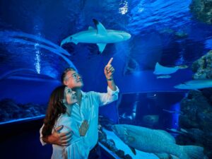 A couple stands in an aquarium tunnel, looking up and pointing at a shark swimming above them in a large blue tank.