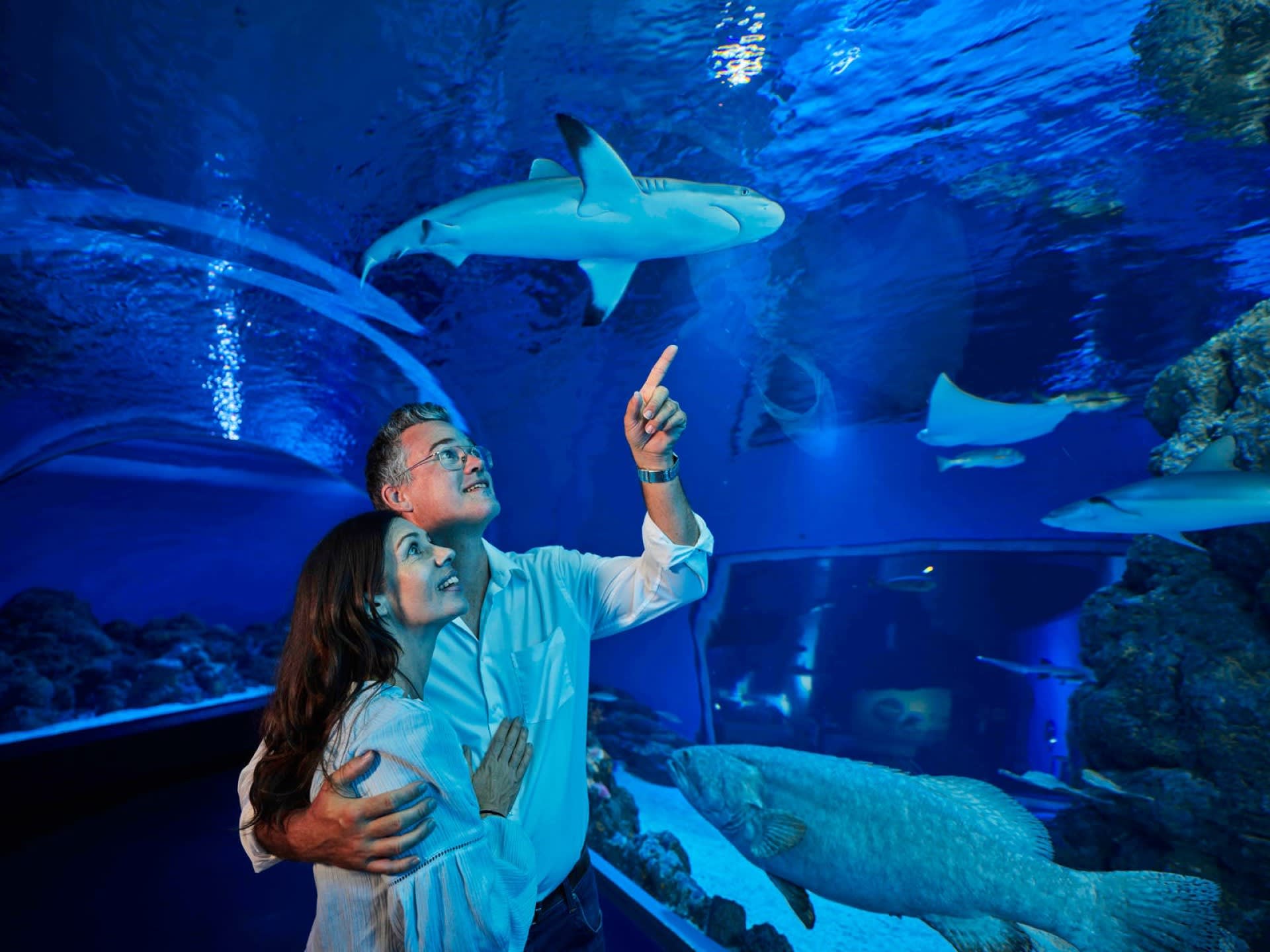 A couple stands in an aquarium tunnel, looking up and pointing at a shark swimming above them in a large blue tank.
