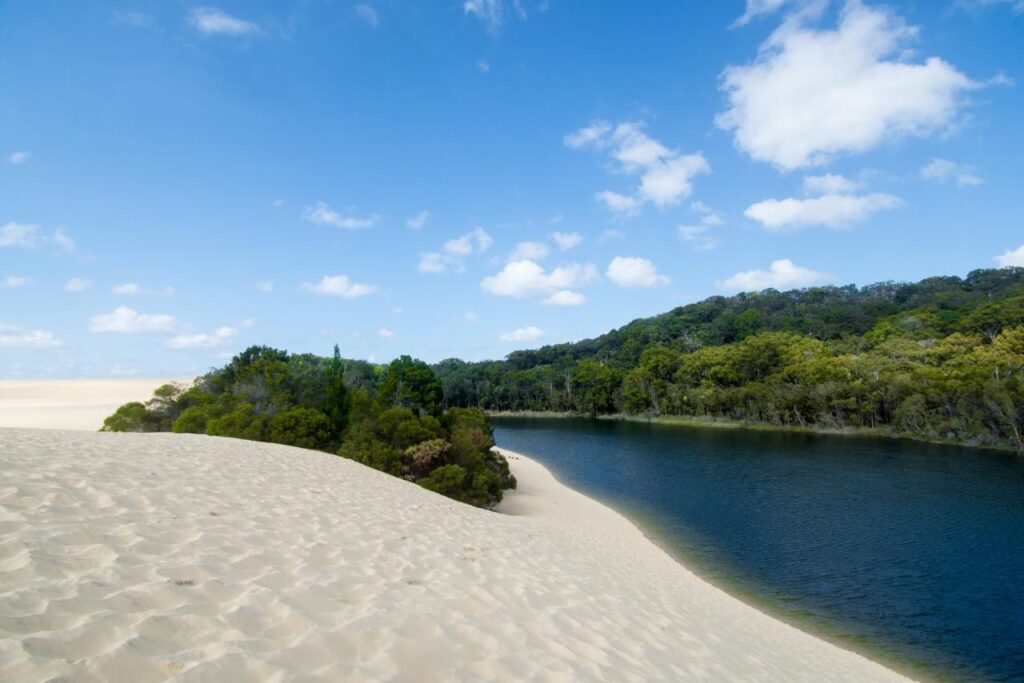A sandy dune slopes down to a dark river bordered by dense green forest under a blue sky with scattered clouds.