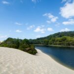 A sandy dune slopes down to a dark river bordered by dense green forest under a blue sky with scattered clouds.
