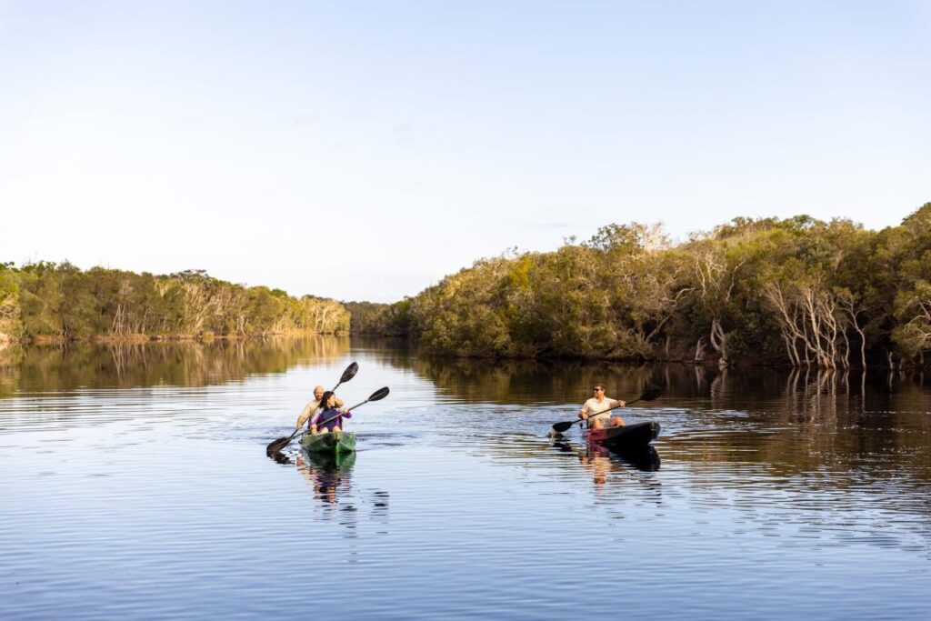 Two people paddle kayaks on a calm, wide river surrounded by green trees under a clear sky.