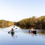 Two people paddle kayaks on a calm, wide river surrounded by green trees under a clear sky.