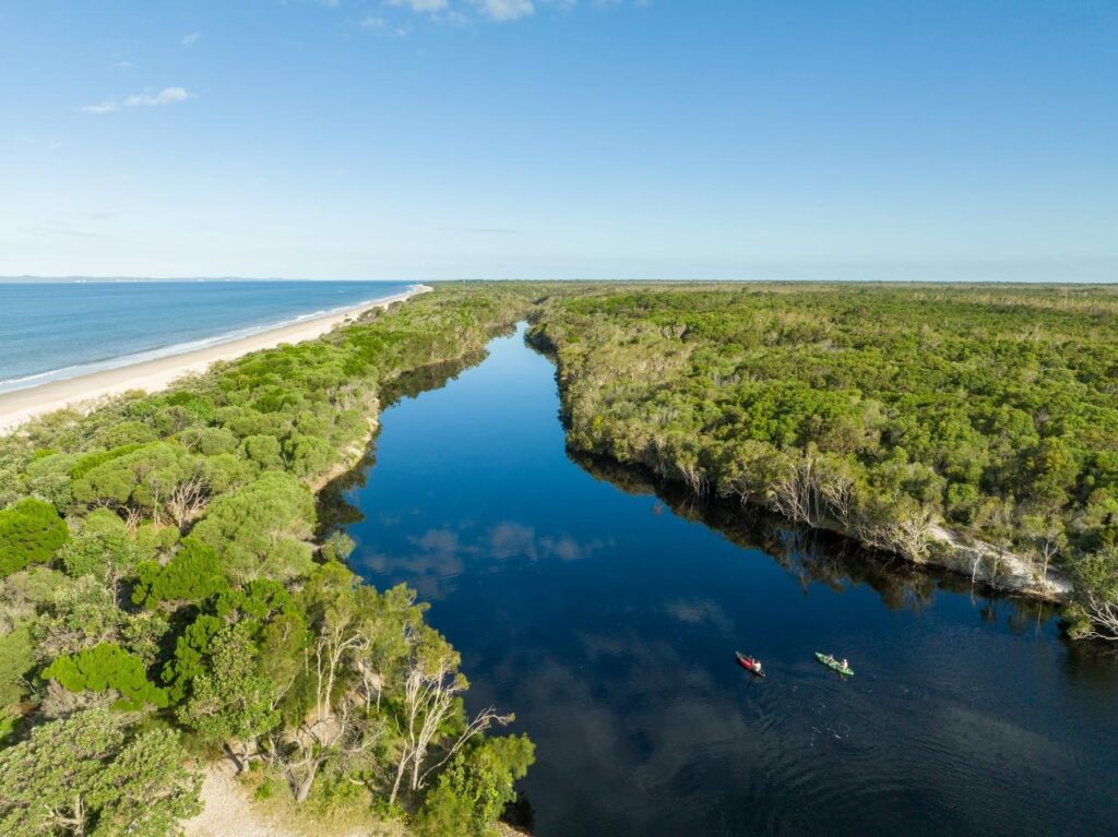 Aerial view of a river bordered by dense forest, with two kayaks paddling on the water and a sandy beach visible on the left.