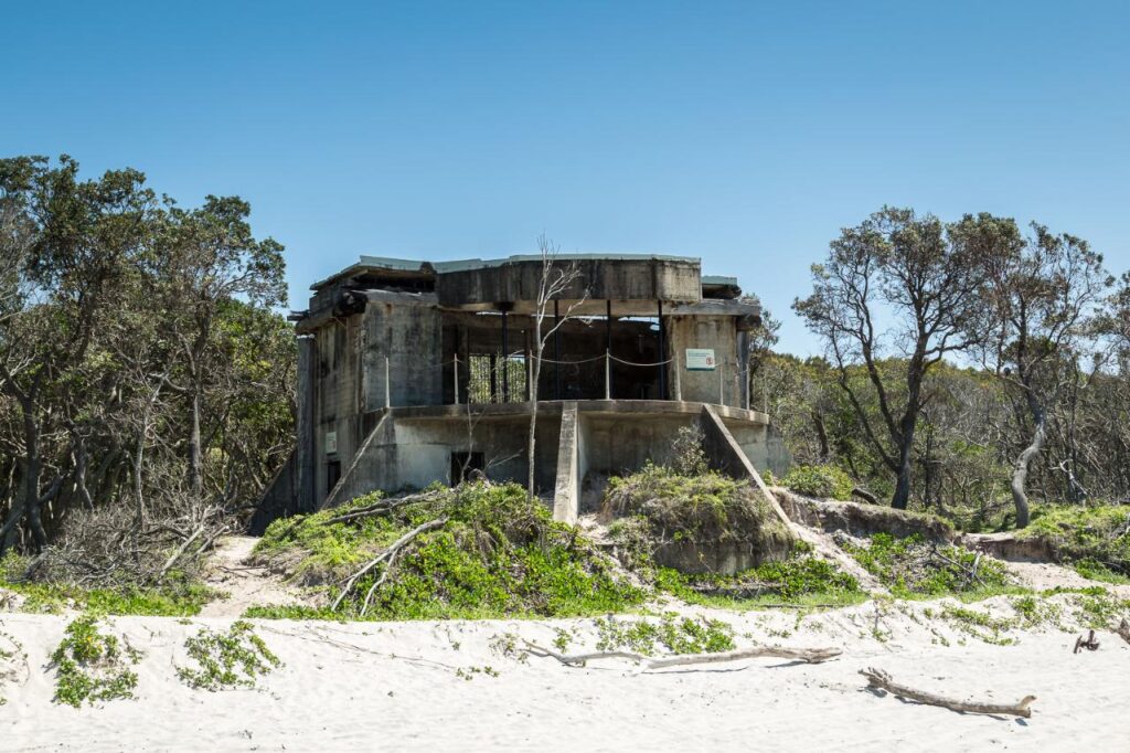 Abandoned concrete bunker with weathered walls sits partially hidden by trees at the edge of a sandy beach under a clear blue sky.