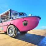 A pink amphibious tour vehicle labeled "Town of 1770" is parked on sandy shore next to water under a clear blue sky.