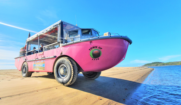 A pink amphibious tour vehicle labeled "Town of 1770" is parked on sandy shore next to water under a clear blue sky.