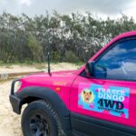 A pink 4WD vehicle with a "Fraser Dingo 4WD Adventures" sign is parked on sandy ground near some trees under a cloudy sky.