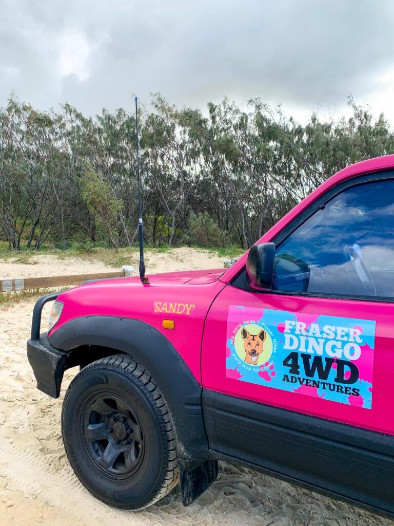 A pink 4WD vehicle with a "Fraser Dingo 4WD Adventures" sign is parked on sandy ground near some trees under a cloudy sky.