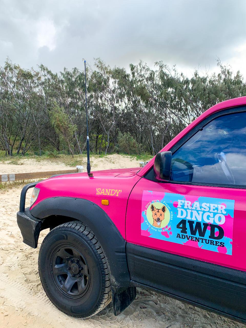 A pink 4WD vehicle with a "Fraser Dingo 4WD Adventures" sign is parked on sandy ground near some trees under a cloudy sky.