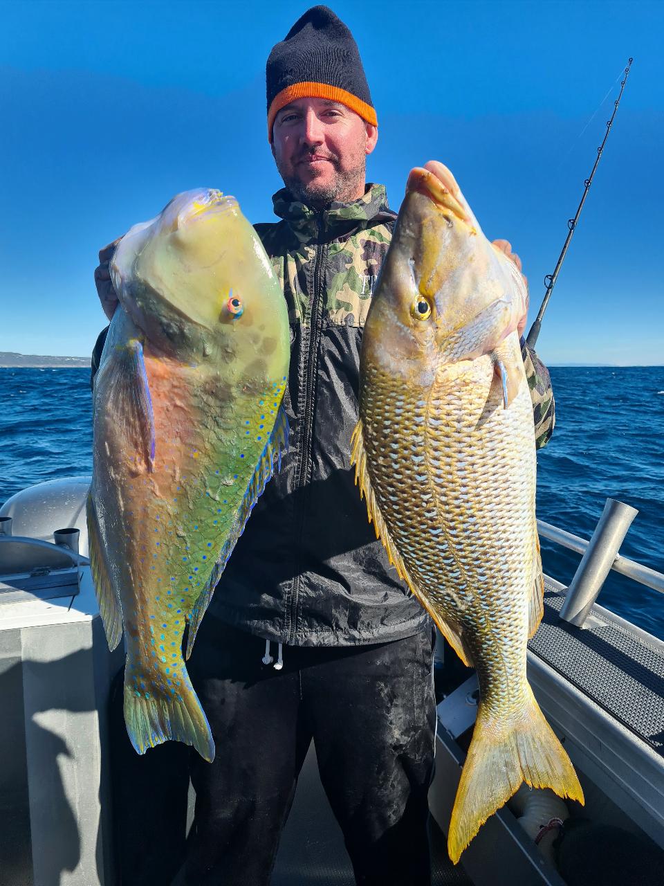A person on a boat holding two large, colorful fish, one in each hand, with the ocean and blue sky in the background.