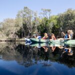 Four people are kayaking on a calm river surrounded by dense trees, with their reflections visible in the water under a clear blue sky.