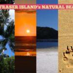 A collage of Fraser Island scenes: a dingo on sand, palm trees, sunset, a lake, sandy beach, dingo paw prints, and ocean waves, with a banner saying "DISCOVER FRASER ISLAND's NATURAL BEAUTY!.