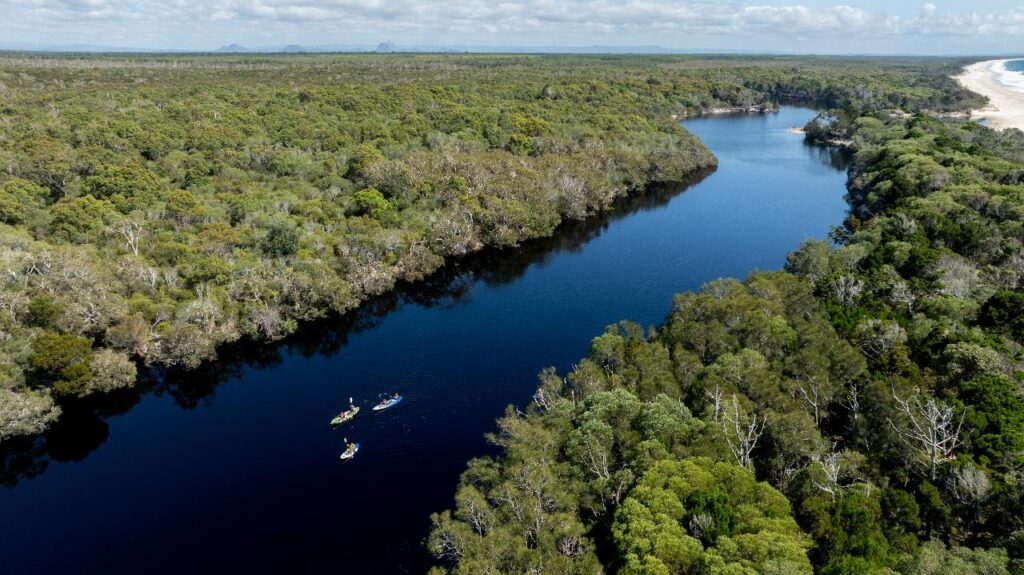 Aerial view of a wide, winding river surrounded by dense green forest, with several kayakers paddling on the water; a coastline is visible in the distance.