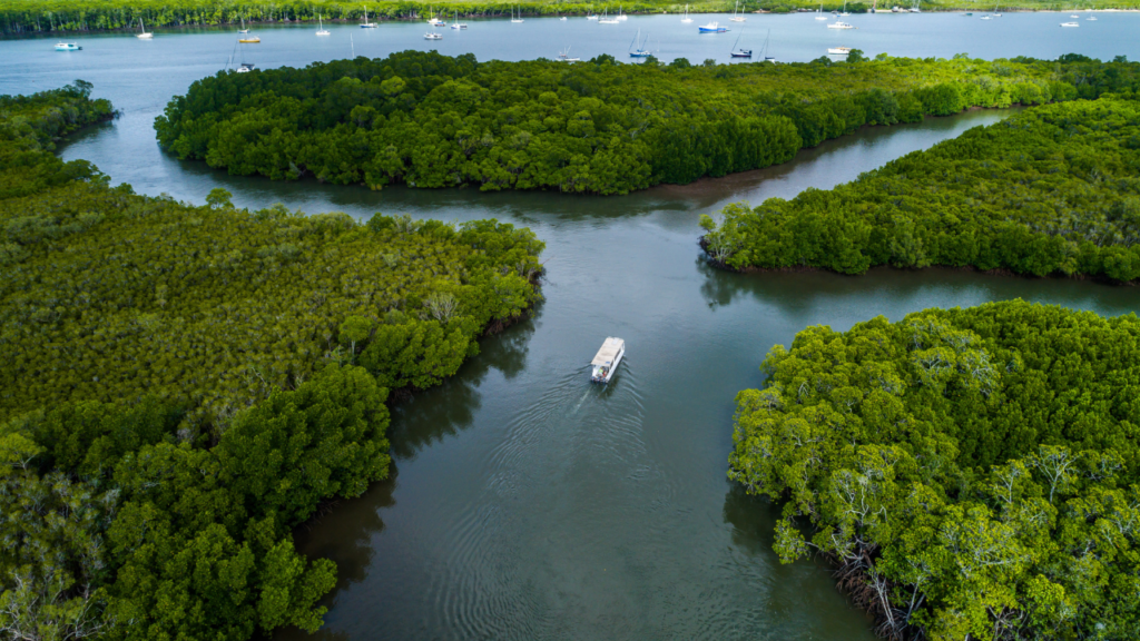 Aerial view of a boat traveling along a river through dense green mangroves, with multiple waterways and anchored boats visible in the background.