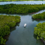 Aerial view of a boat traveling along a river through dense green mangroves, with multiple waterways and anchored boats visible in the background.