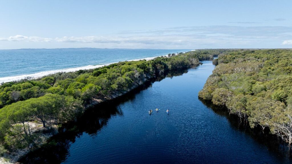 Aerial view of a narrow river bordered by dense green trees, with several kayakers paddling, and the ocean visible on the left.