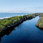 Aerial view of a narrow river bordered by dense green trees, with several kayakers paddling, and the ocean visible on the left.