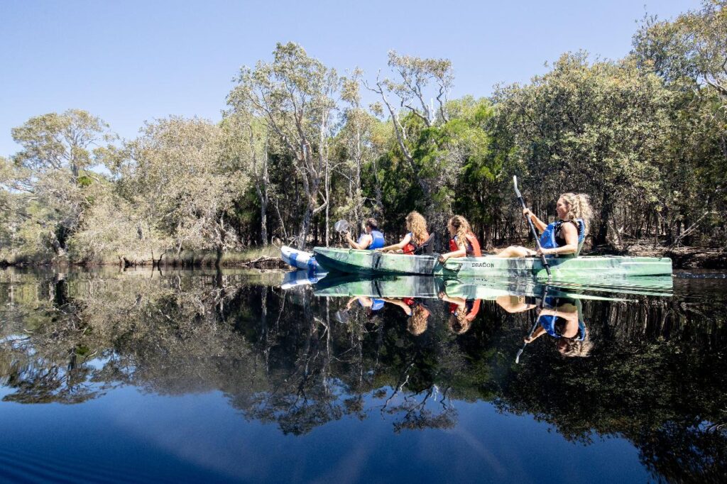 Four people paddle green kayaks on a calm river, surrounded by trees, under a clear blue sky. Their reflections are visible in the water.