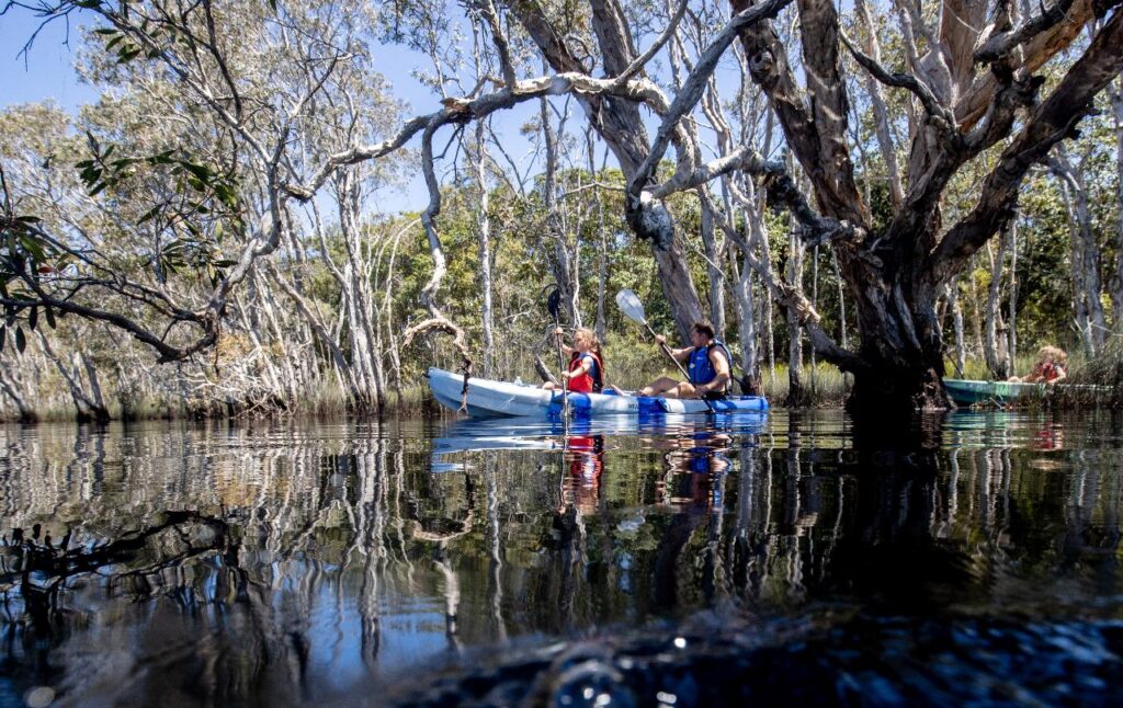 Two people paddle a blue and white kayak on calm water surrounded by tall trees, with another person in a green kayak in the background.