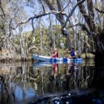 Two people paddle a blue and white kayak on calm water surrounded by tall trees, with another person in a green kayak in the background.