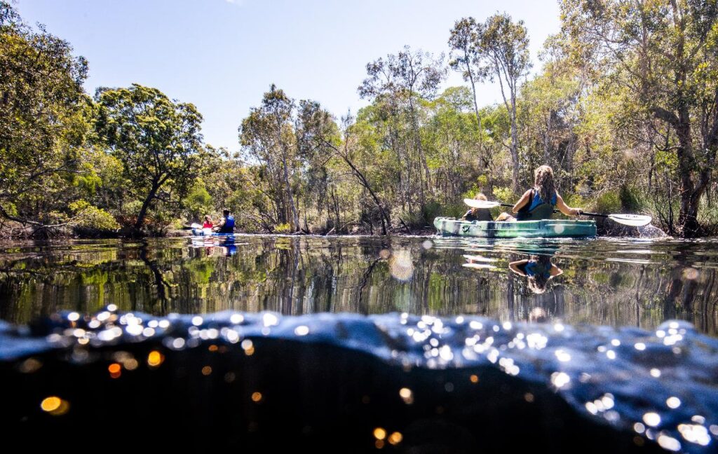 Two people kayak through a calm, tree-lined river on a sunny day, with light reflecting on the water’s surface in the foreground.