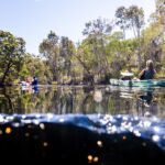 Two people kayak through a calm, tree-lined river on a sunny day, with light reflecting on the water’s surface in the foreground.