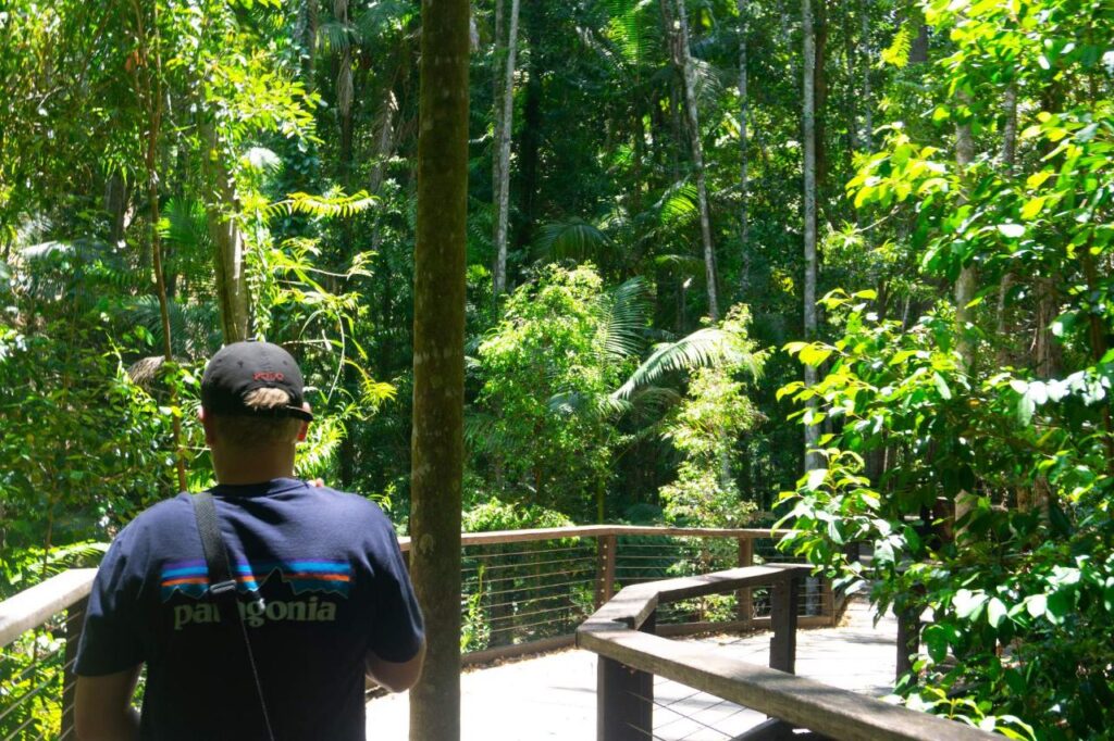 A person wearing a Patagonia shirt and cap stands on a wooden pathway surrounded by dense green forest vegetation.