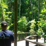 A person wearing a Patagonia shirt and cap stands on a wooden pathway surrounded by dense green forest vegetation.