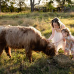 Two young girls in dresses pet a brown, shaggy cow eating hay in a grassy field with trees and a wooden fence in the background.