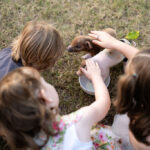 Three children sitting on grass gently pet a small piglet standing in a white bowl.