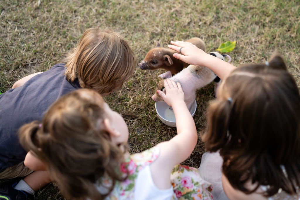 Three children sitting on grass gently pet a small piglet standing in a white bowl.