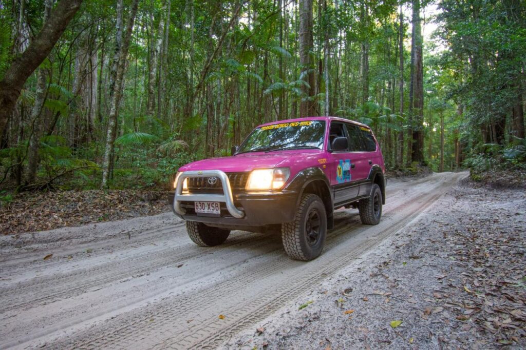 A pink 4x4 SUV drives on a sandy dirt road through a dense, green forest.