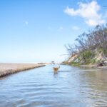 A brown dog stands in shallow water near a sandy beach with sparse vegetation and a clear blue sky overhead.