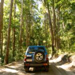 A blue SUV drives on a dirt road through a dense, sunlit forest with tall trees and green foliage.