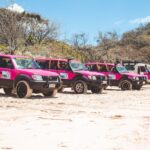 Six brightly colored 4WD vehicles, mostly pink, are parked in a row on a sandy beach with greenery and blue sky in the background.