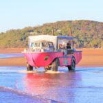 A pink amphibious tour vehicle drives from the ocean onto a sandy beach with a forested hill in the background.
