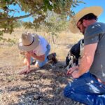 Two people wearing hats kneel on dry ground near a tree, examining the soil. A black-and-white dog is beside them. A basket is visible in the background.