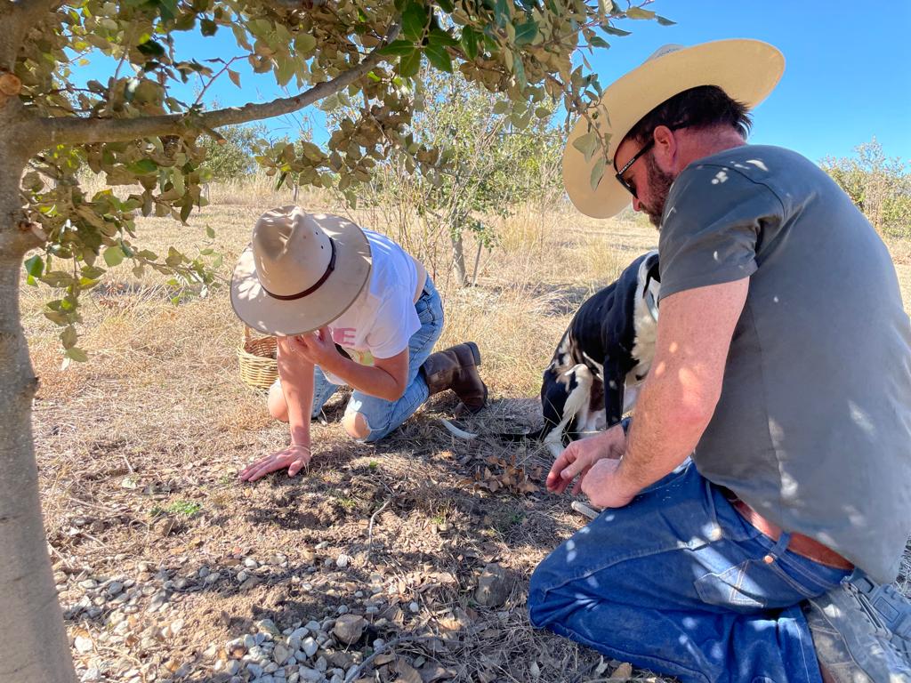 Two people wearing hats kneel on dry ground near a tree, examining the soil. A black-and-white dog is beside them. A basket is visible in the background.