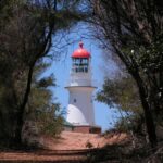 A white lighthouse with a red dome is framed by tall trees and bushes under a clear blue sky.