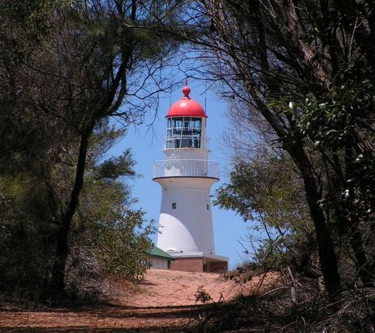 A white lighthouse with a red dome is framed by tall trees and bushes under a clear blue sky.