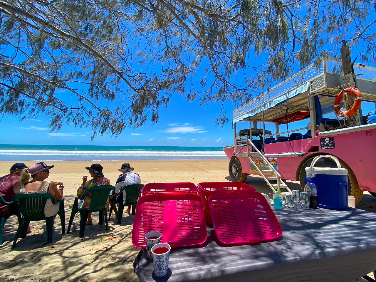 A group of people sit on plastic chairs near a pink beach vehicle under tree shade, with trays and cups on a table and the ocean in the background.