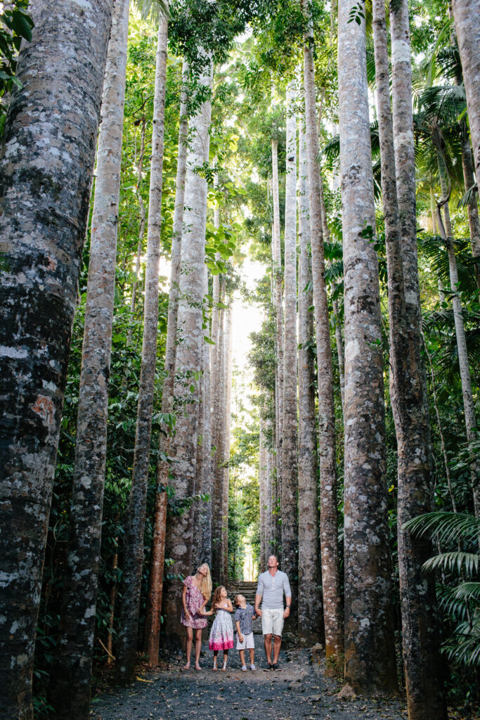 A family of four walks along a forest path surrounded by tall, straight trees with dense green foliage above.