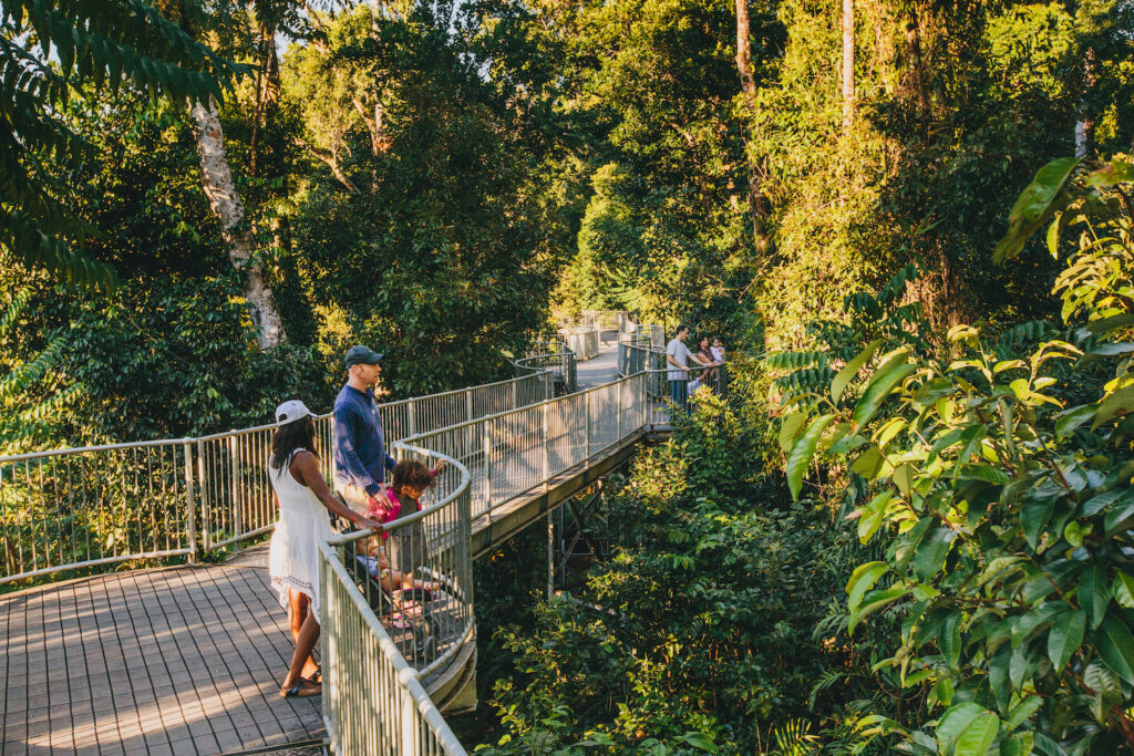 People stand on an elevated walkway surrounded by dense green forest, observing the scenery on a sunny day.