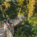 People stand on an elevated walkway surrounded by dense green forest, observing the scenery on a sunny day.
