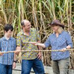 Three people stand in front of tall sugarcane plants. The woman on the right holds a long sugarcane stalk, showing it to the man and boy beside her.