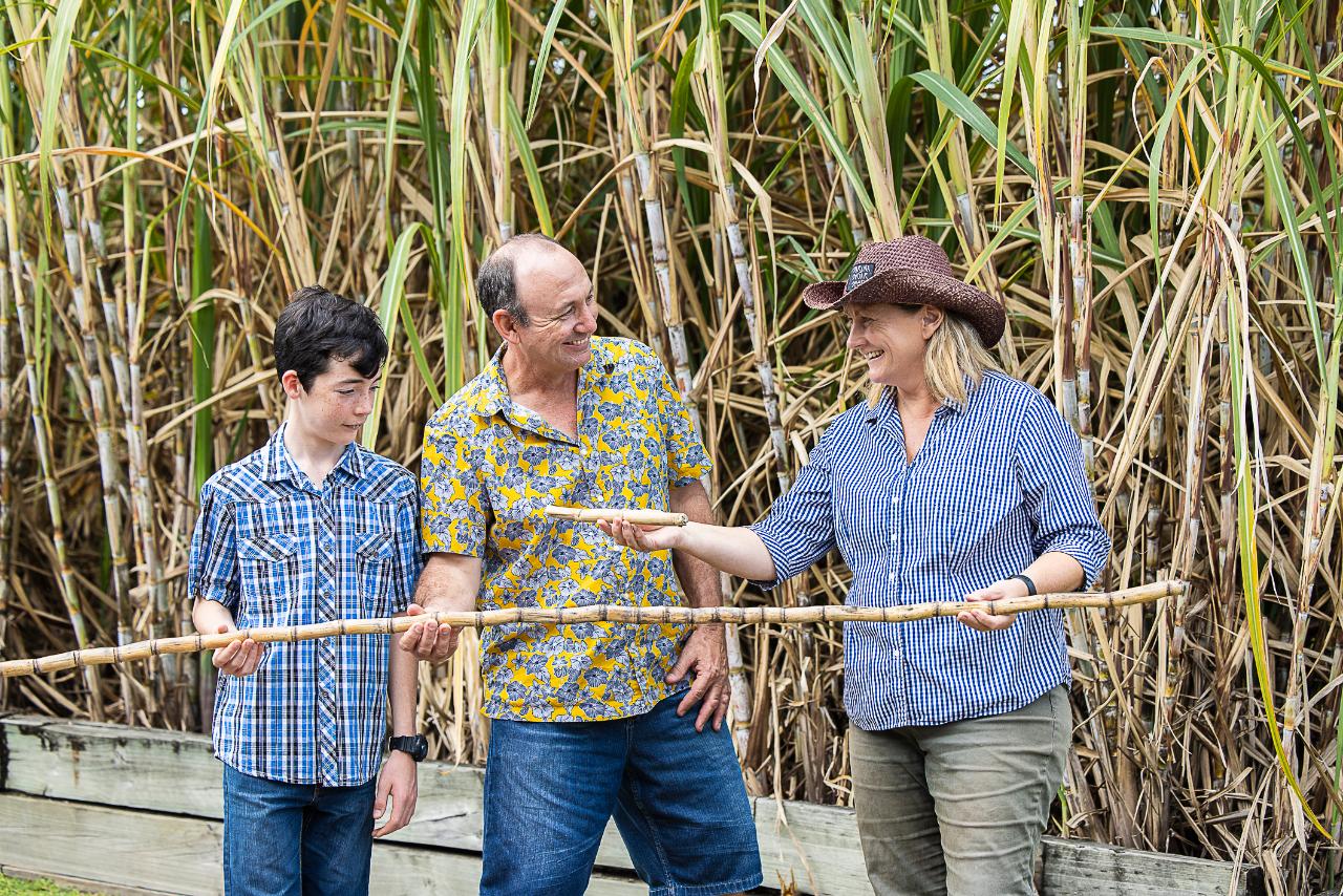 Three people stand in front of tall sugarcane plants. The woman on the right holds a long sugarcane stalk, showing it to the man and boy beside her.