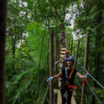 People wearing helmets and harnesses walk along a wooden suspension bridge in a lush, green forest canopy.